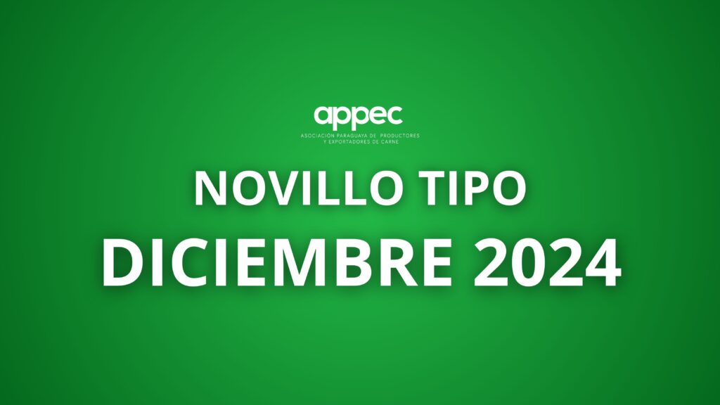 Informe Novillo Tipo Diciembre 2024