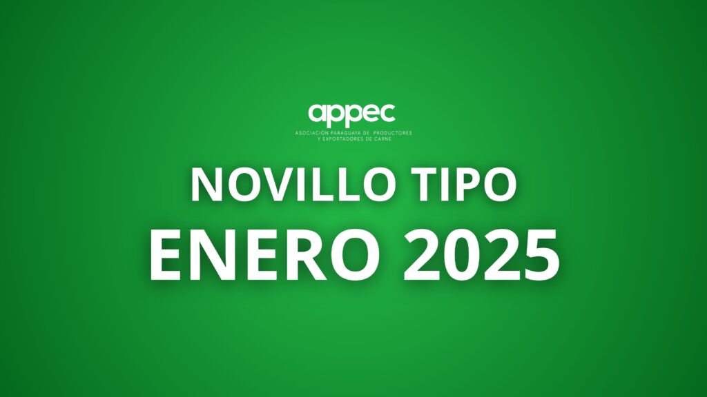 Informe Novillo Tipo Enero 2025