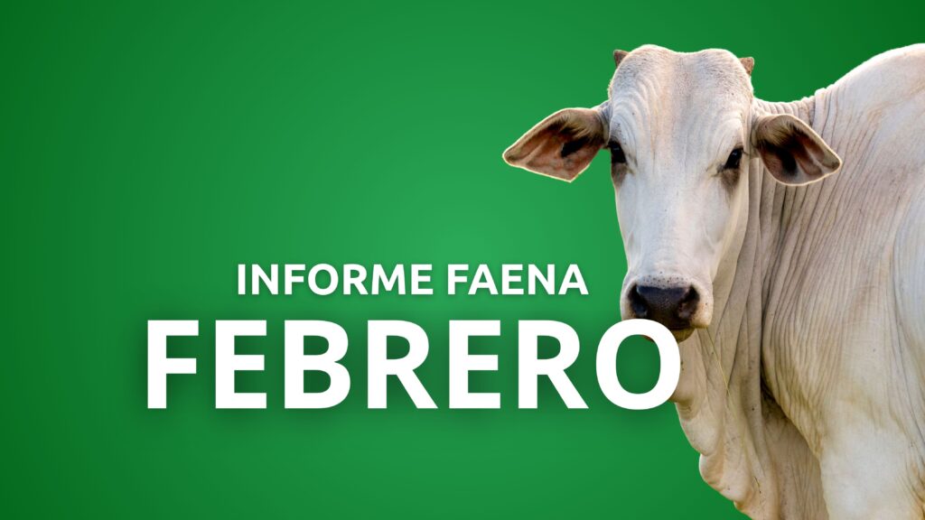 Informe Faena Febrero 2025