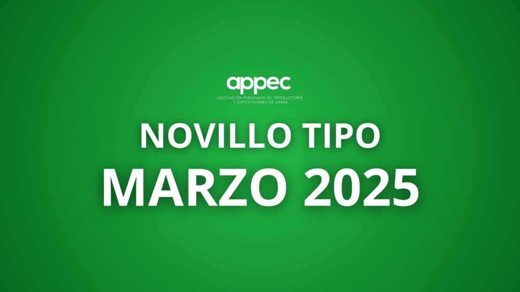 Informe Faena Marzo 2025