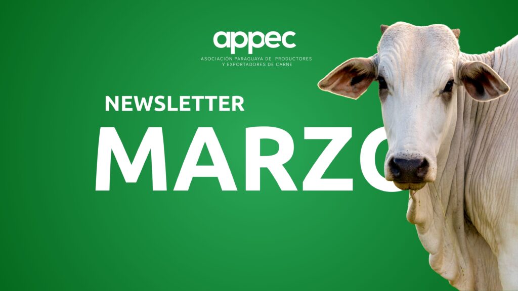 Newsletter Marzo 2025