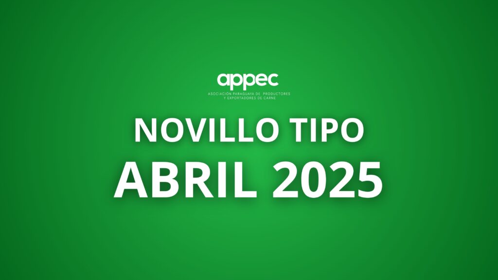 Informe Novillo Tipo Abril 2025
