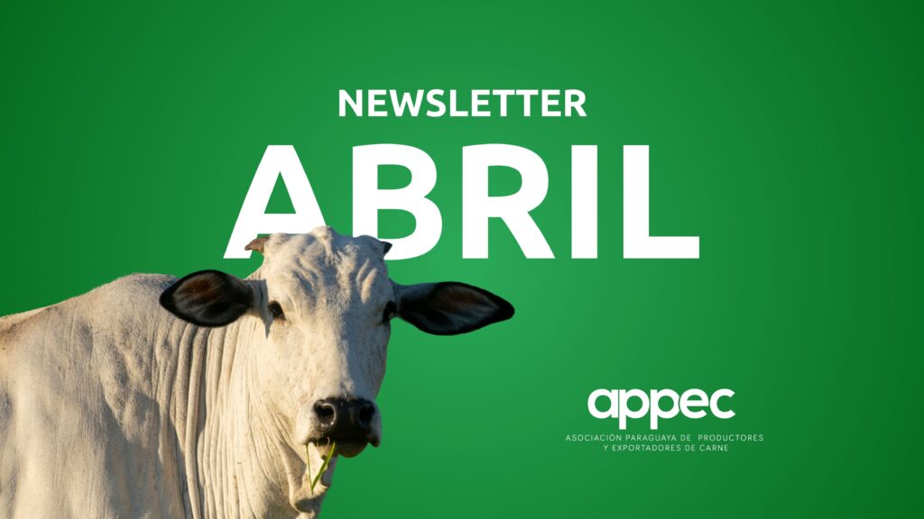 Newsletter Abril 2025