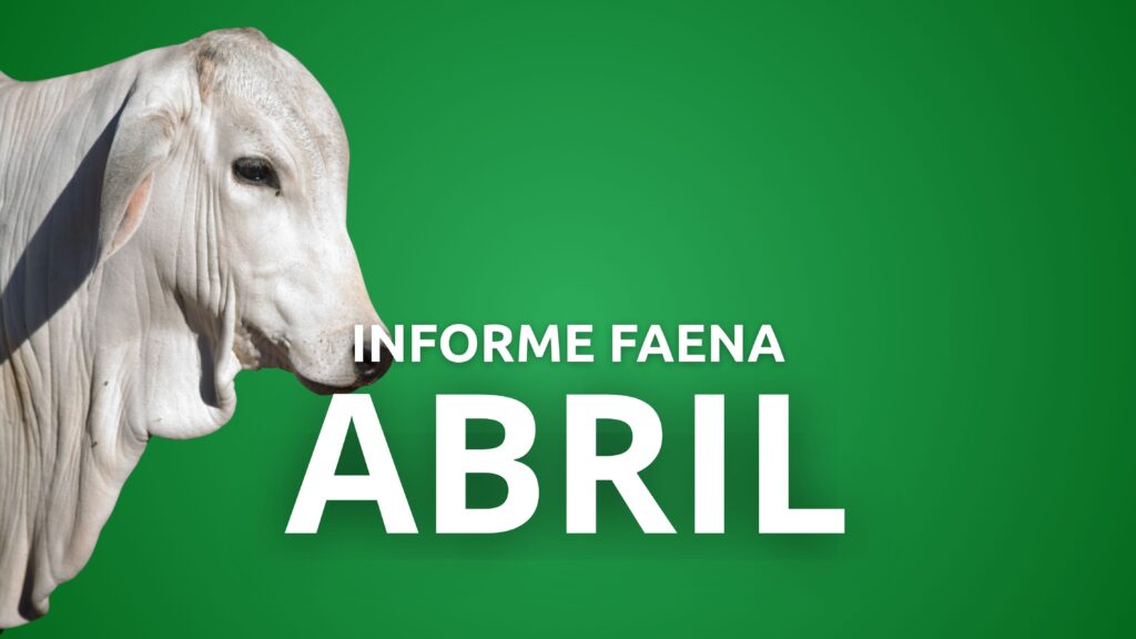 Informe Faena 30 de abril de 2025