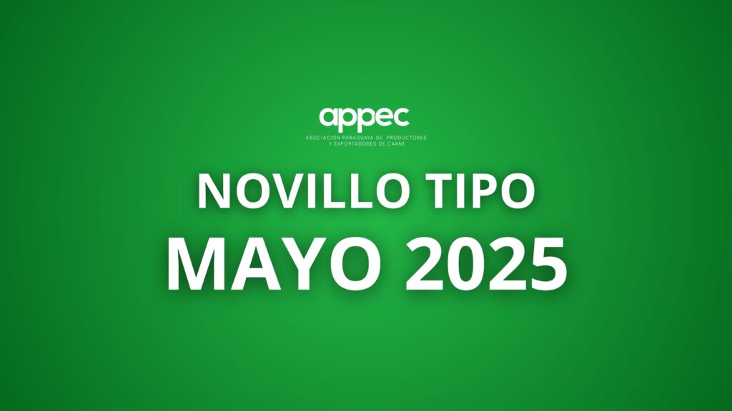 Informe Novillo Tipo Mayo 2025