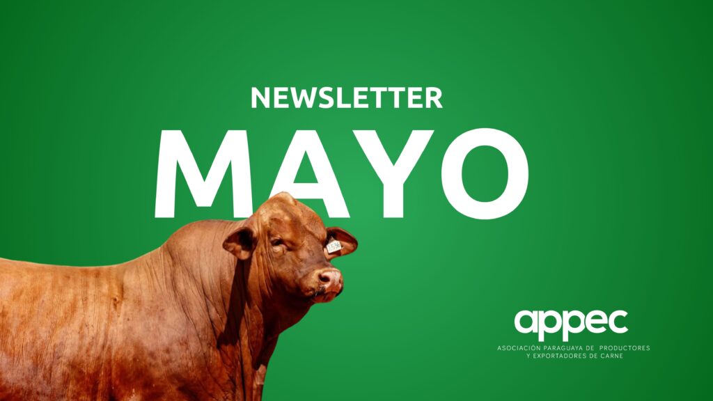 Newsletter Mayo 2025