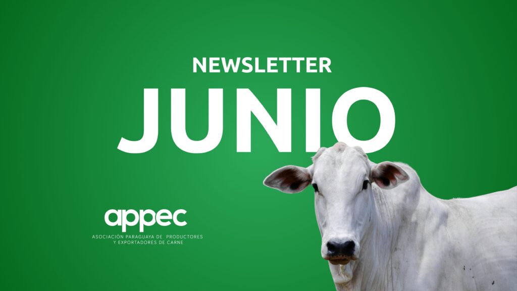 Newsletter Junio 2025