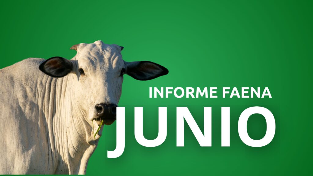 Informe Faena 30 de junio de 2025
