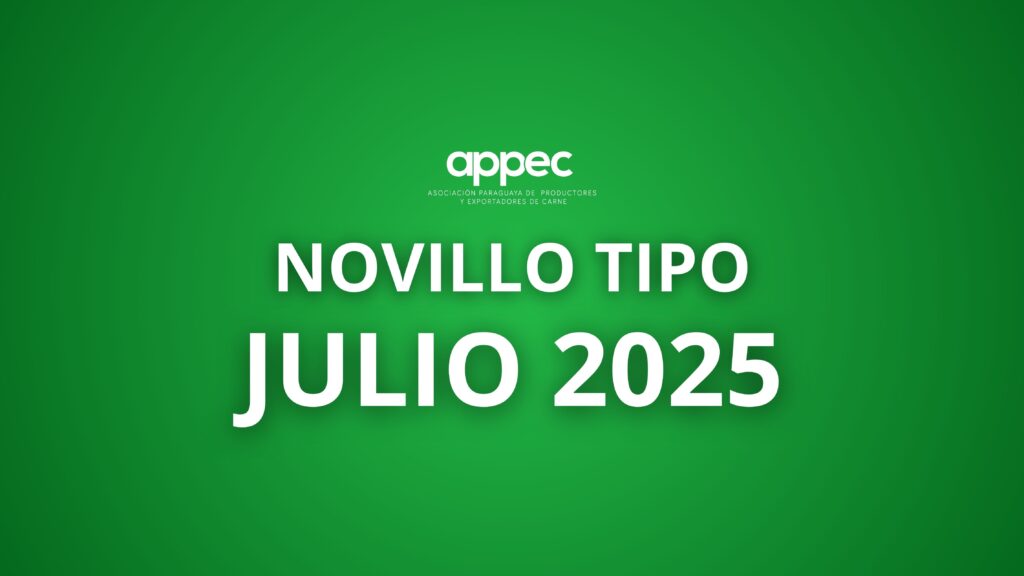 Informe Novillo Tipo Julio 2025