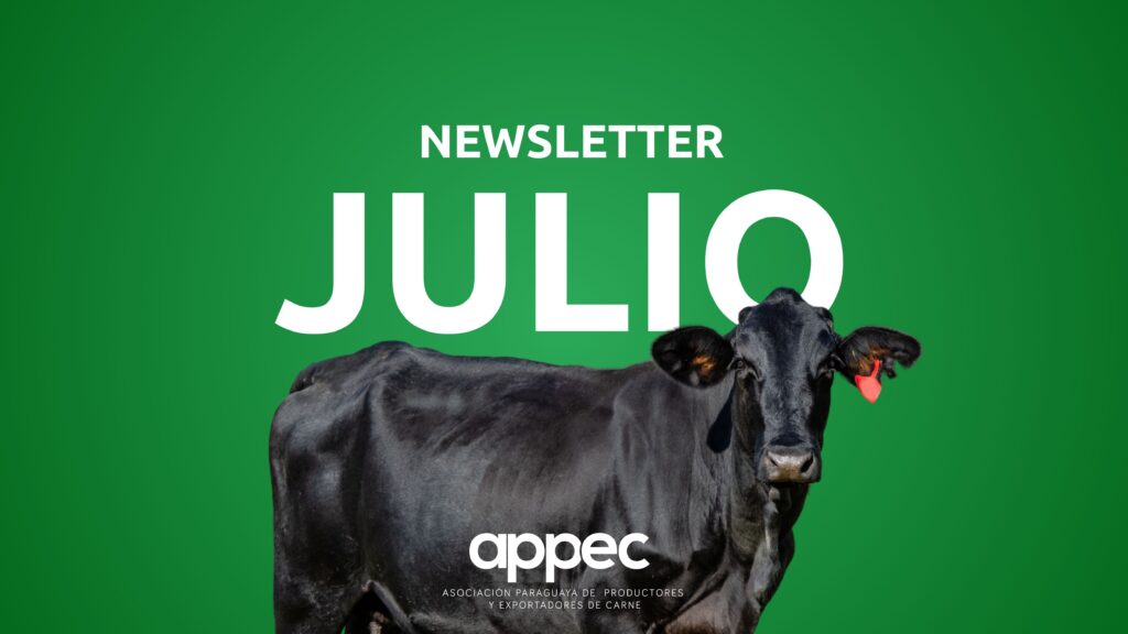 Newsletter Julio 2025