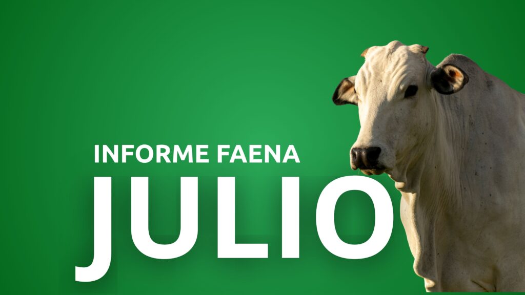 Informe Faena 31 de julio de 2025
