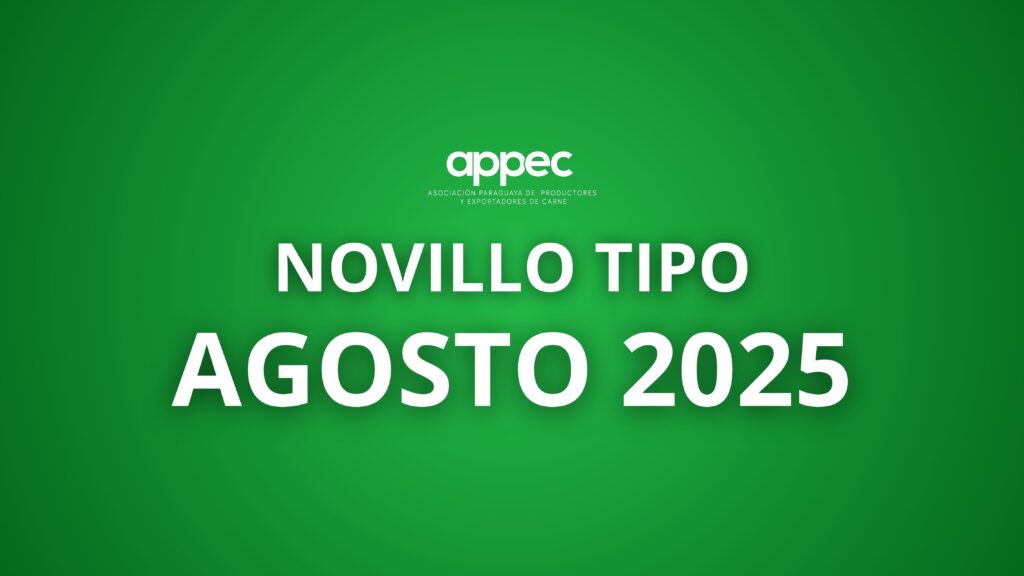Informe Novillo Tipo Agosto 2025