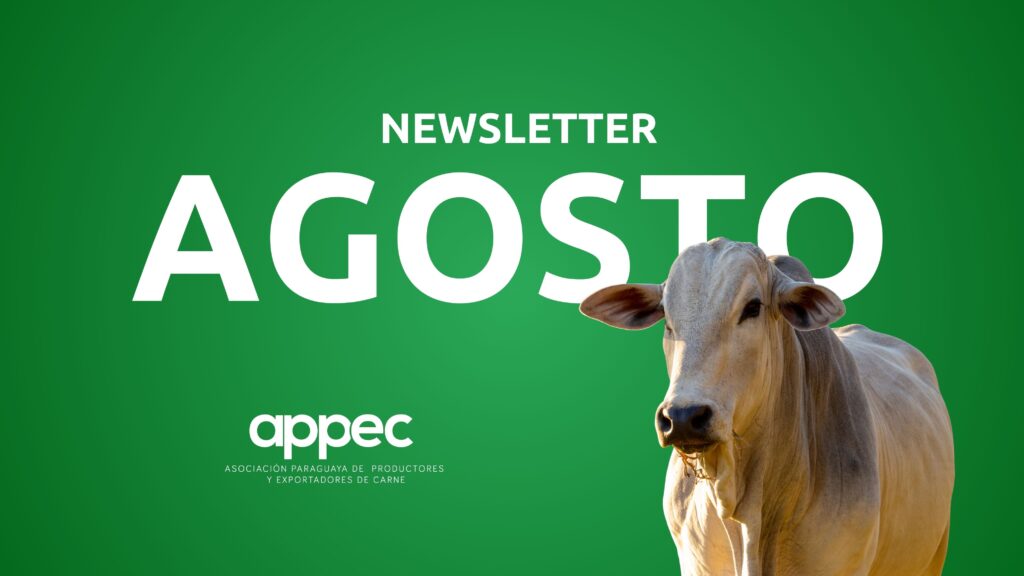 Newsletter Agosto 2025