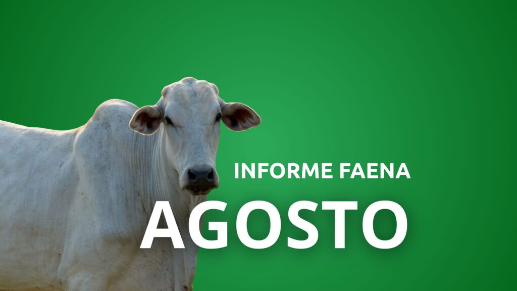 Informe Faena Agosto 2025