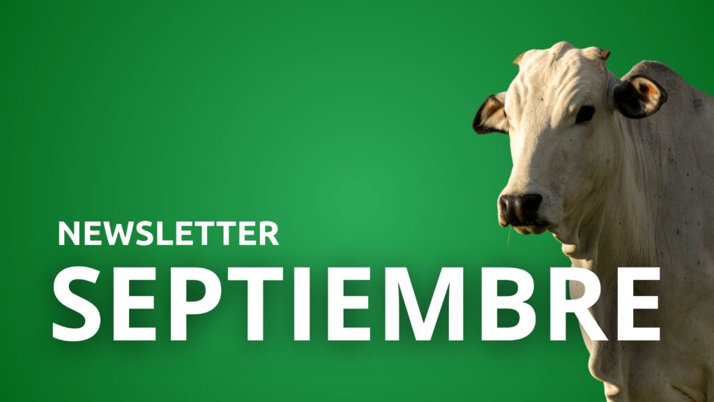 Newsletter Septiembre 2025