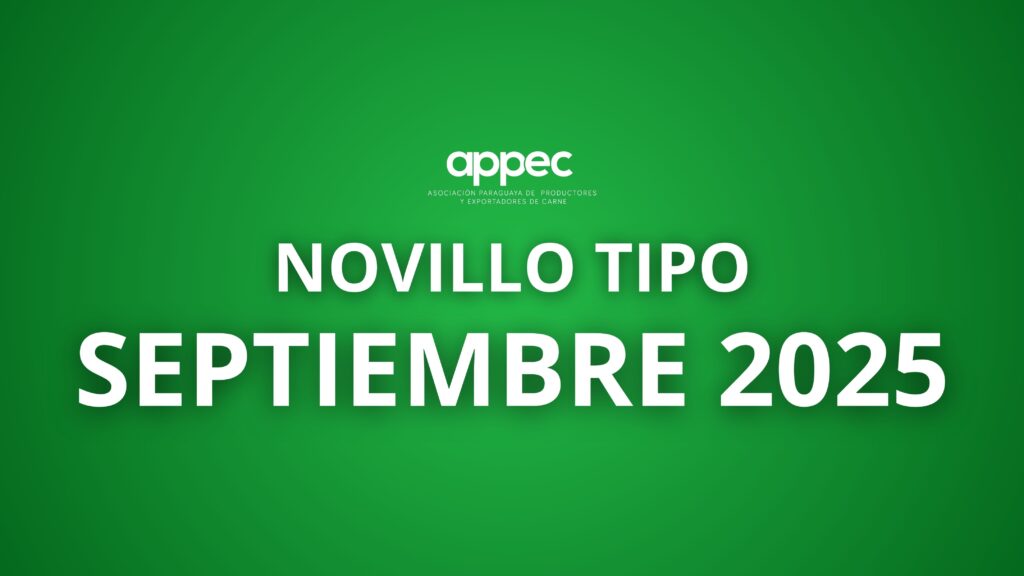 Informe Novillo Tipo Septiembre 2025