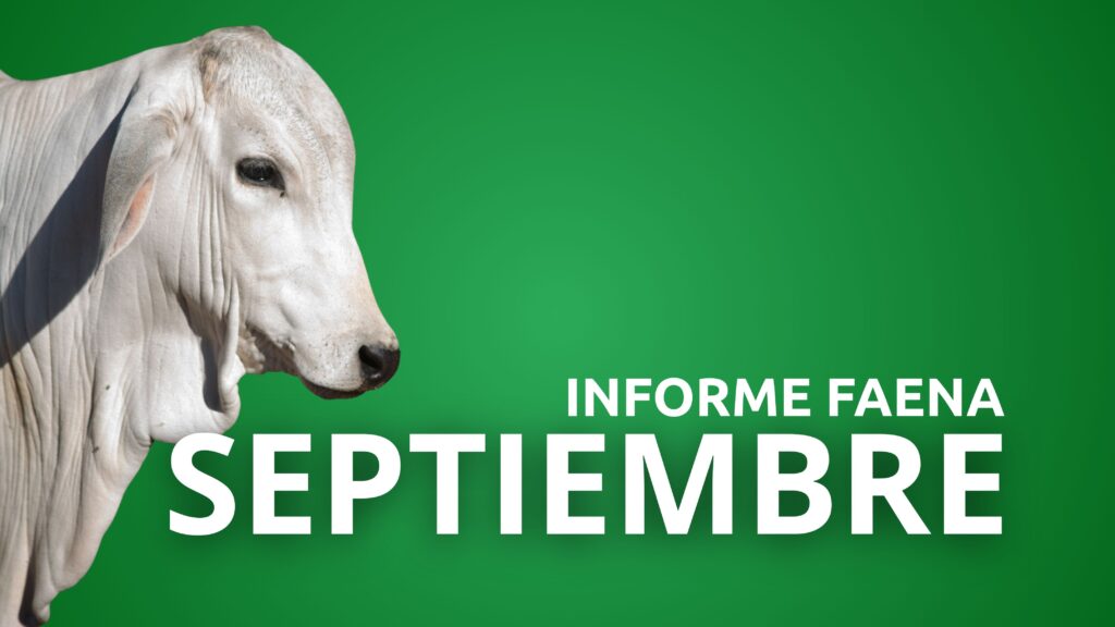 Informe Faena Septiembre 2025