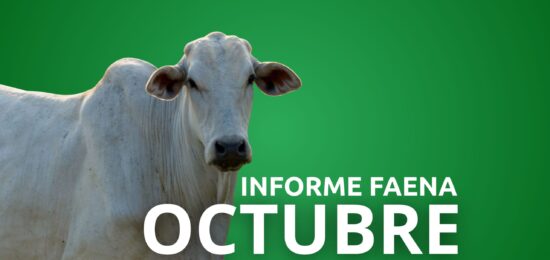 APPEC PRESENTACIÓN (18)