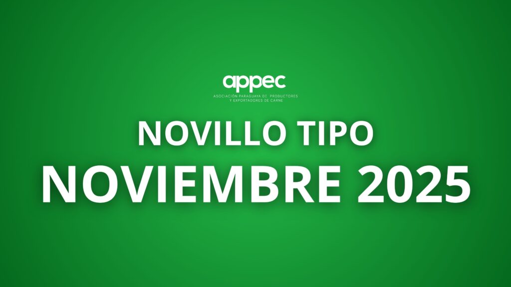 Informe Novillo Tipo Noviembre 2025