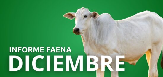 APPEC PRESENTACIÓN (5)