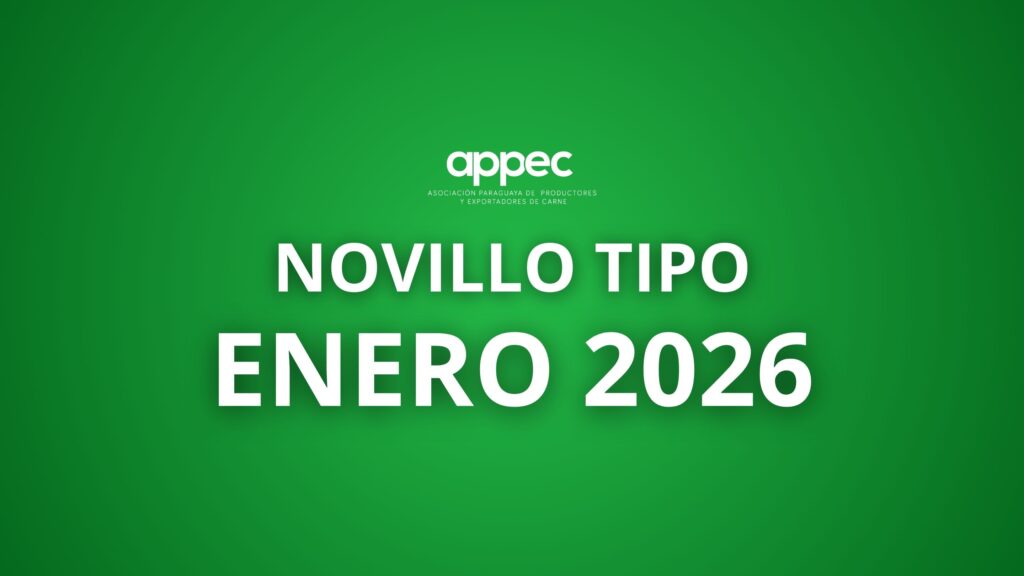Informe Novillo Tipo Enero 2026
