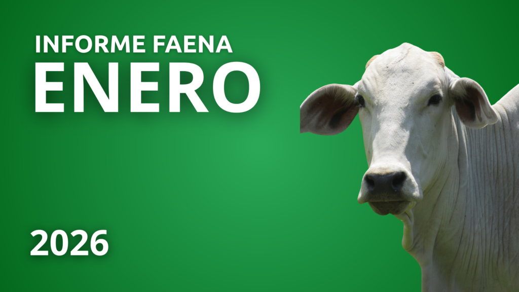 Informe Faena Enero 2026