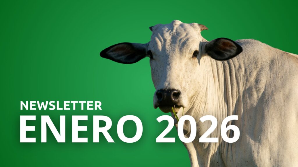 Newsletter Enero 2026