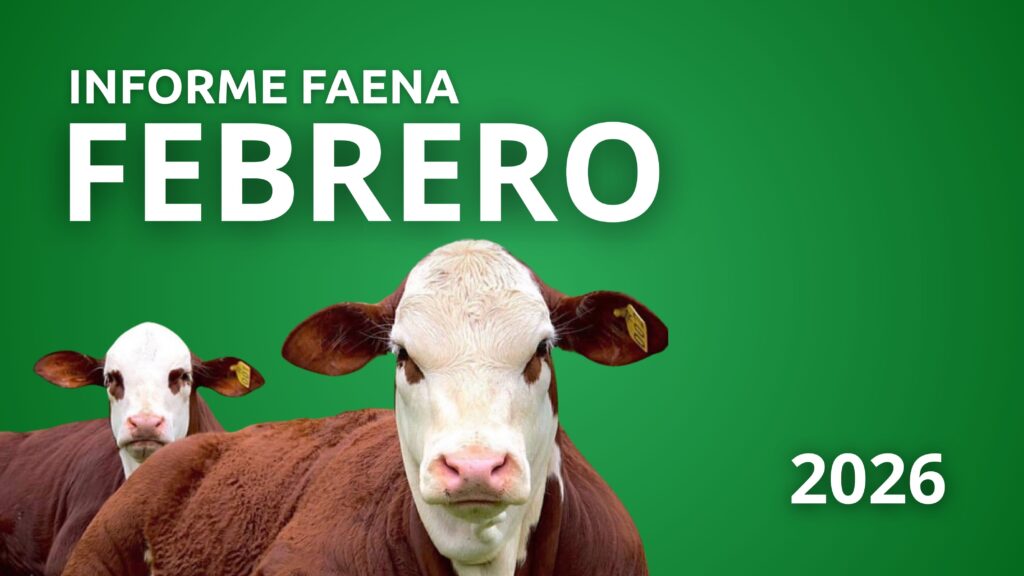 Reporte Faena Febrero 2026