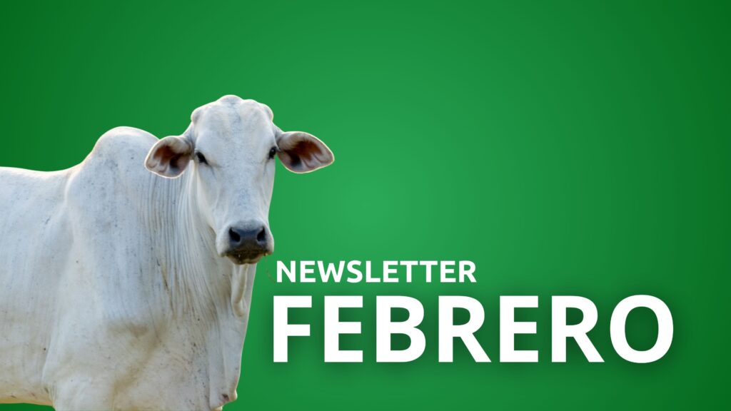 Newsletter Febrero 2026