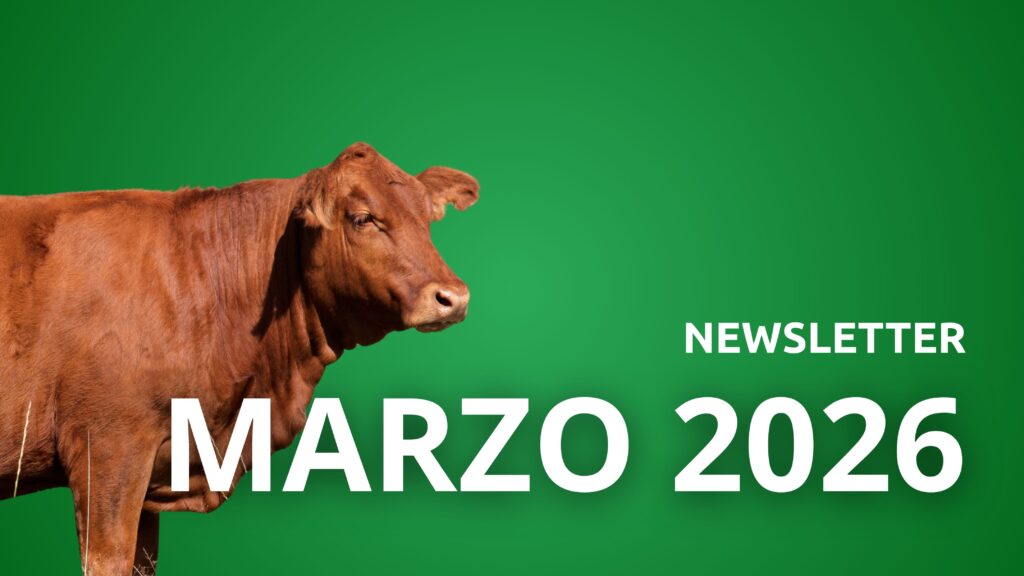 Newsletter Marzo 2026