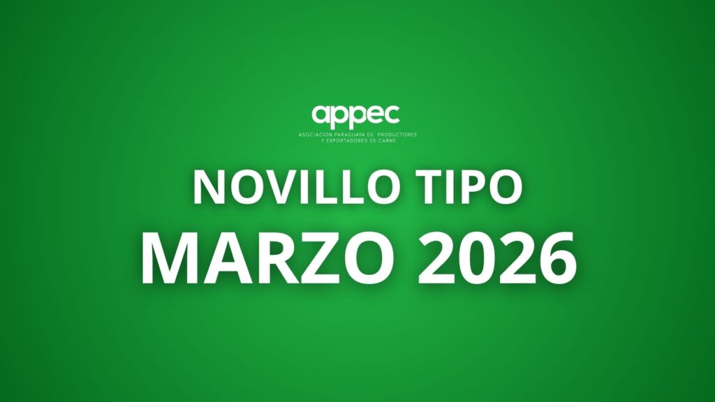 Informe Novillo Tipo Marzo 2026