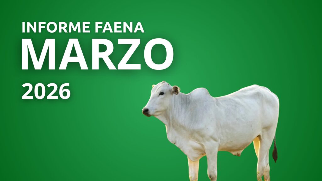 Informe Faena Marzo 2026