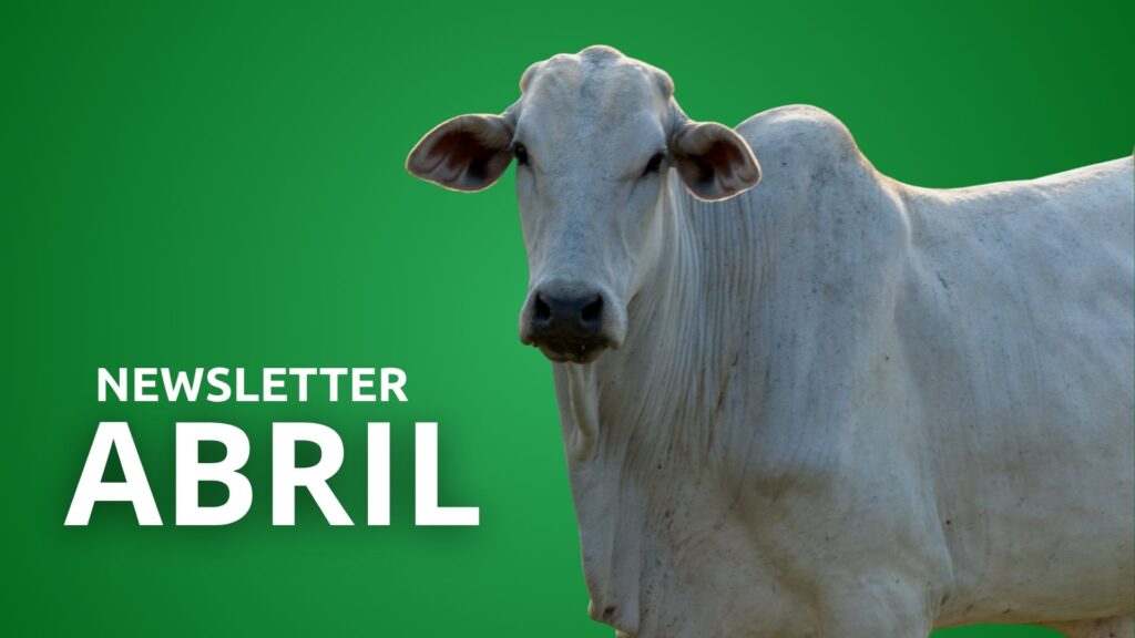 Newsletter Abril 2026