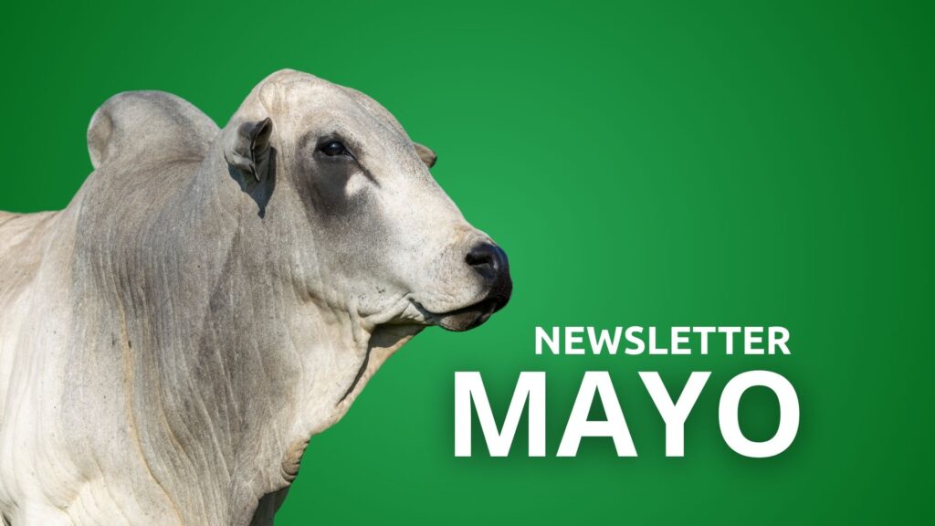 Newsletter Mayo 2026