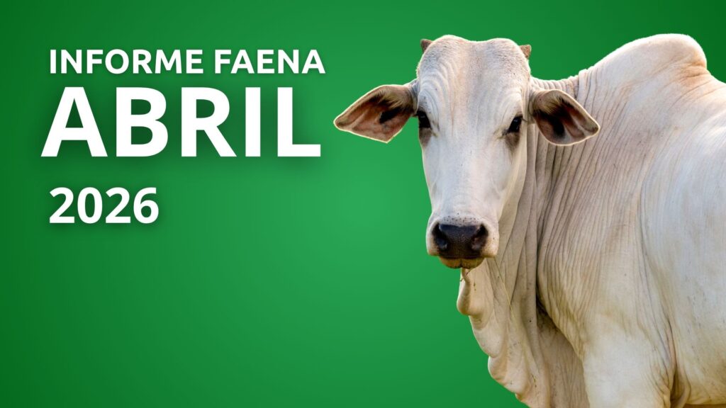 Informe Faena Abril 2026
