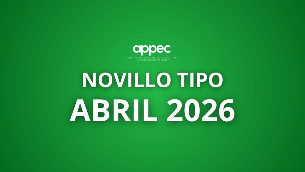 Informe Novillo Tipo Abril 2026