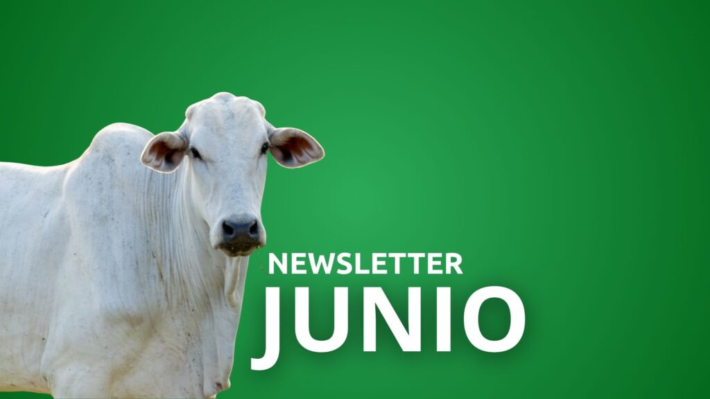 Newsletter Junio 2026