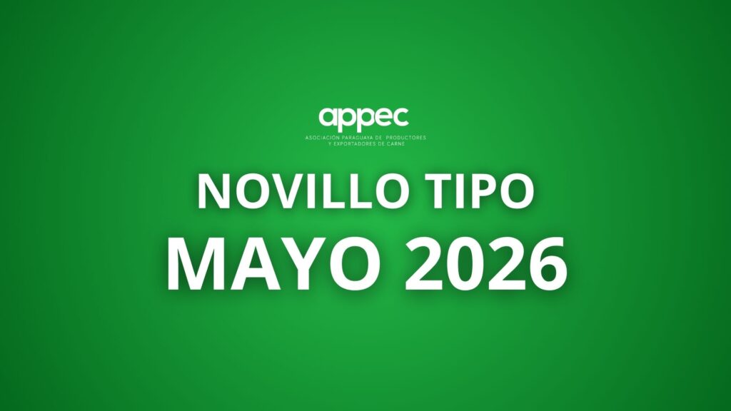 Informe Novillo Tipo Mayo 2026