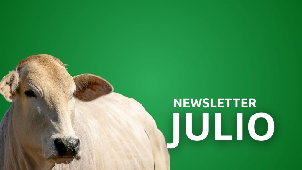 Newsletter Julio 2026