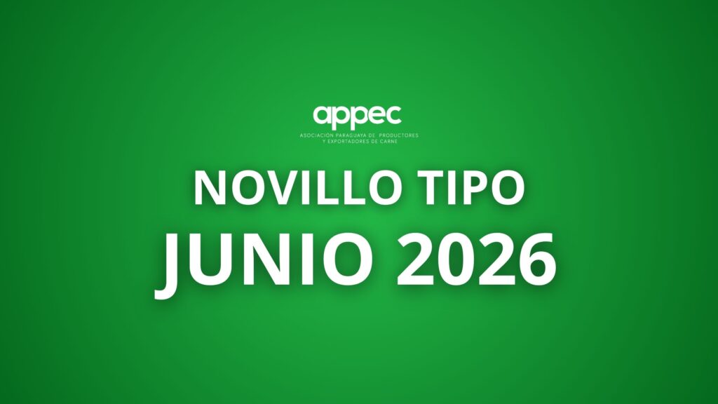Informe Novillo Tipo Junio 2026