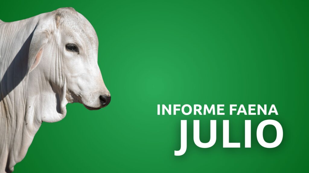Informe Faena Julio 2026
