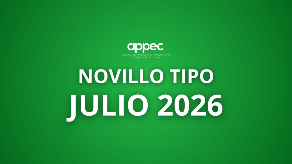 Informe Novillo Tipo 2026