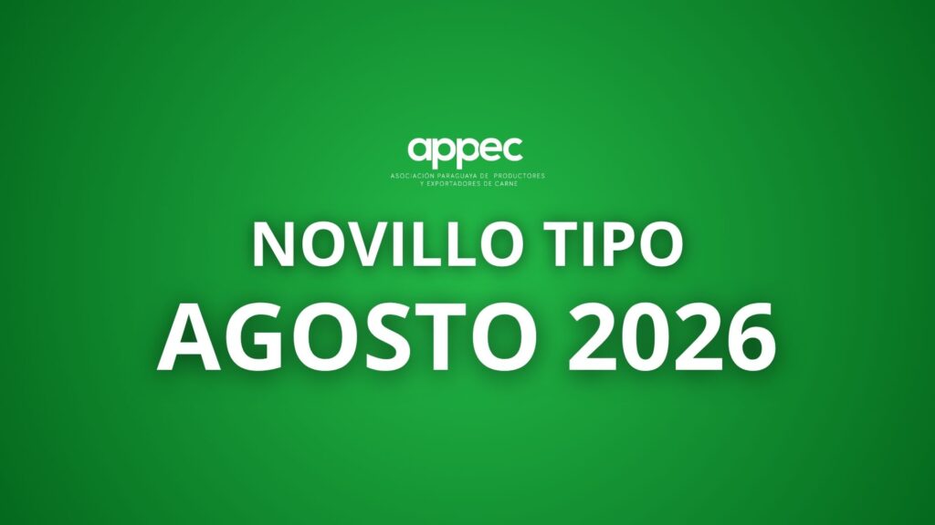 Informe Novillo Tipo Agosto 2026