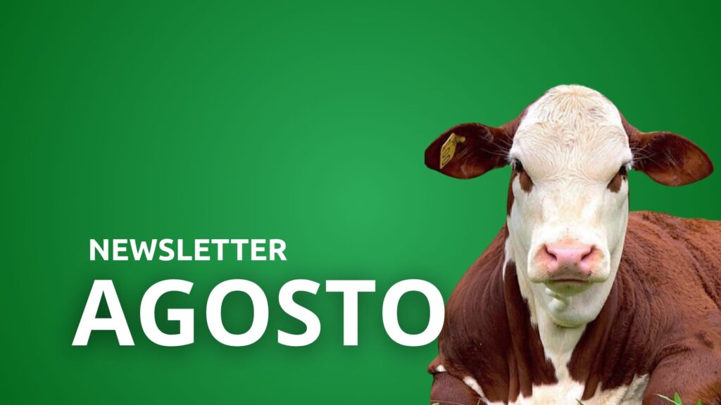 Newsletter - Agosto 2026