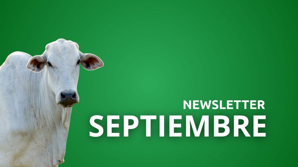 Newsletter Septiembre 2026