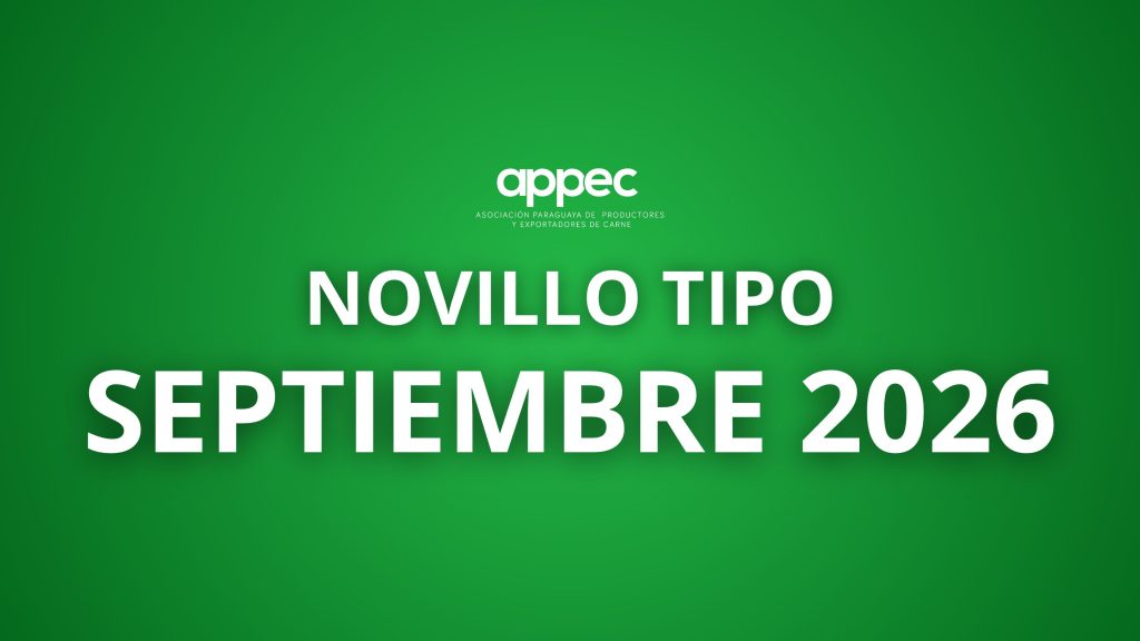 Informe Novillo Tipo Septiembre 2026