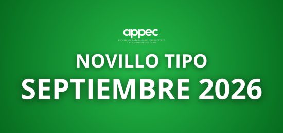 appec nwsletter portada (4)